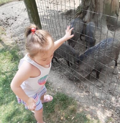 Greenview Aviaries Outing